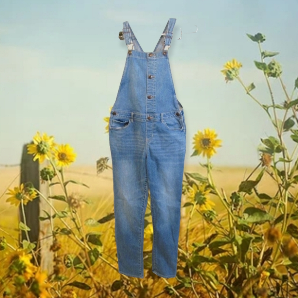 Y2K Oshkosh B'Gosh Overalls